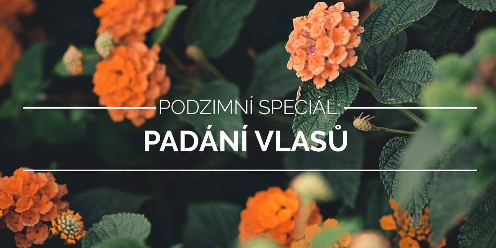 PODZIMNÍ SPECIÁL – padání vlasů