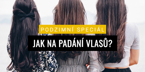 Podzimní speciál: Jak na padání vlasů?