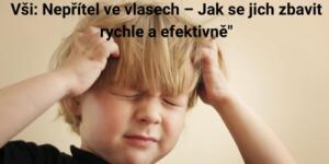 Vi: Neptel ve vlasech  Jak se jich zbavit rychle a efektivn!