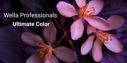 Profesion�ln� p��e Wella Professionals Ultimate Color: Kl�� k dlouhotrvaj�c� barv� a zdrav�m vlas�m!